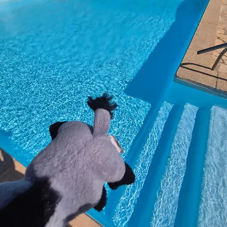 דירה Havre De Paix Climatise,piscine,wifi *